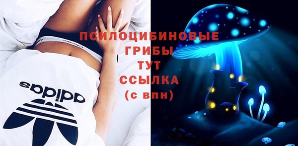 кокс Аркадак