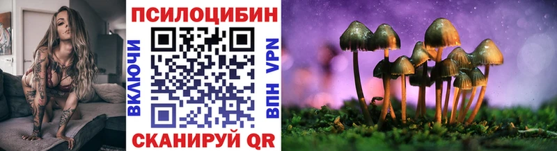 Псилоцибиновые грибы Cubensis Уржум