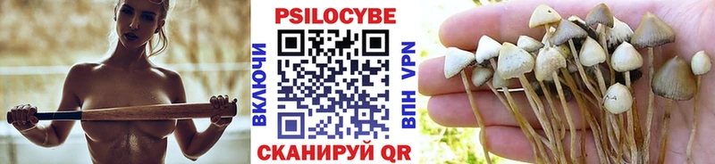 Галлюциногенные грибы прущие грибы Уржум